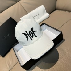 디올 모자