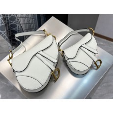 디올 새들백